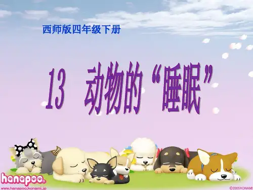 西南师大版四年级语文下册《三单元  13 动物的“睡眠”》课件_18