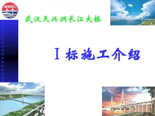 天兴洲大桥Ⅰ标施工介绍b