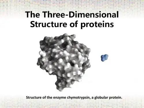 Lec8_3D structure of proteins-st