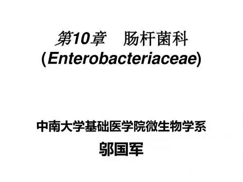 10肠杆菌科-PPT精选文档