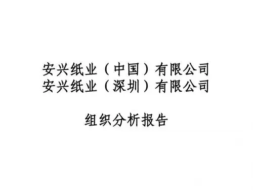 安兴纸业组织分析报告1.3