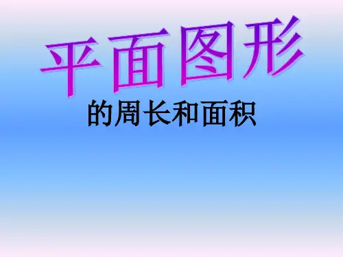 平面图形的周长与面积