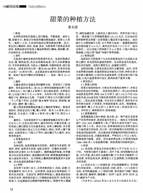 甜菜的种植方法 2