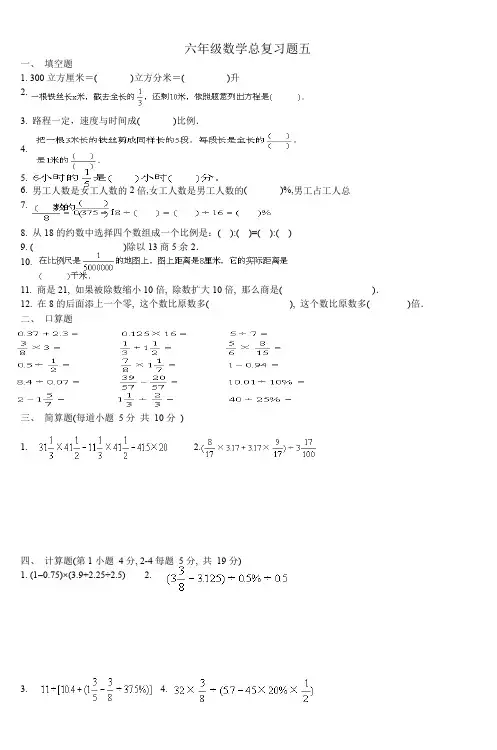 六年级数学总复习题五doc
