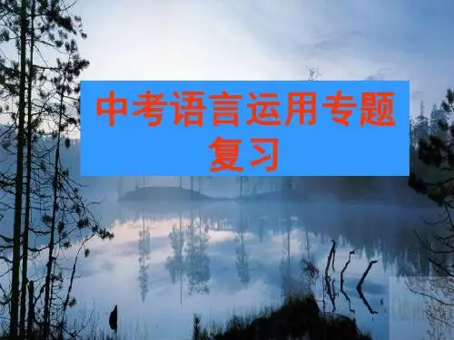 中考语文语言运用复习专题课件