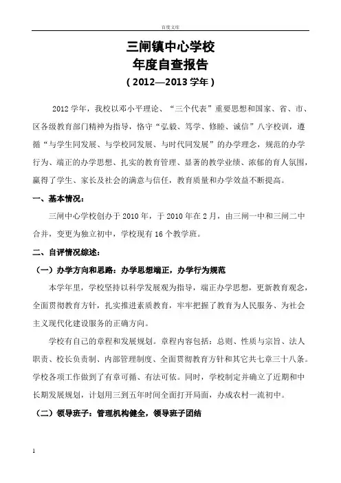 学校年度自查报告