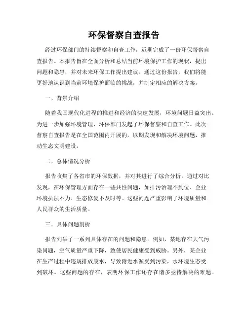 环保督察自查报告