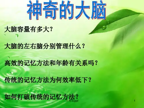《神奇的大脑》PPT课件