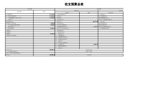 收支预算总表