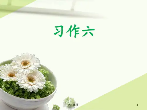 五年级语文上册习作六  ppt课件