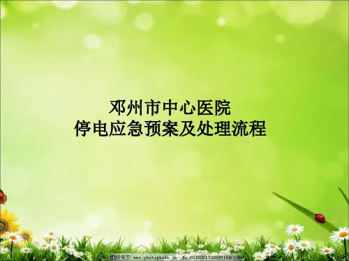 停电应急预案及处理流程.