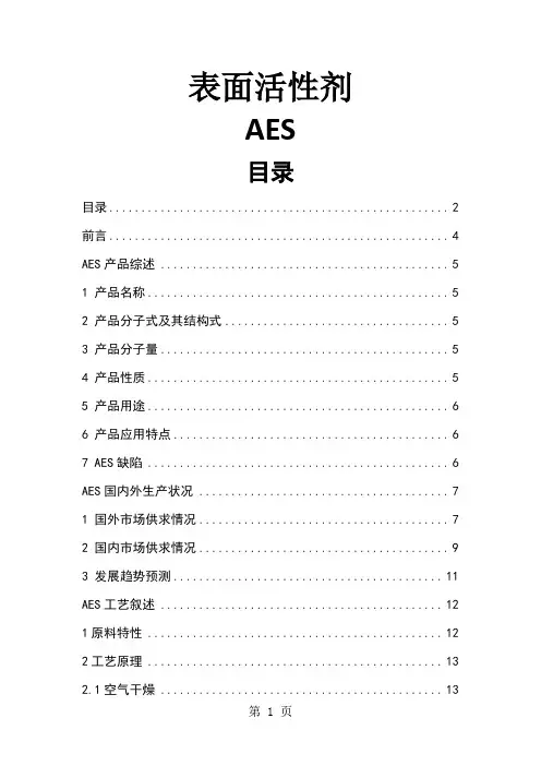 AES产品简介word资料25页