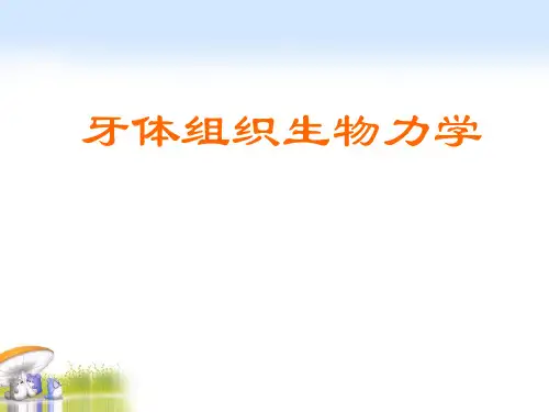 牙体组织生物力学2