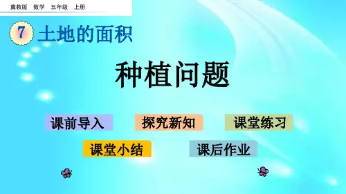 五年级上册数学课件- 7.4 种植问题 l 冀教版 共20张PPT