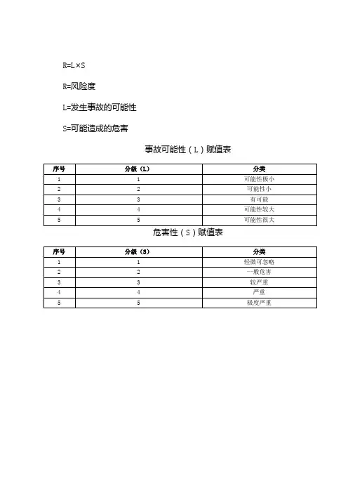 安全检查分析记录表(风险评价)