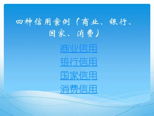 商业银行国家消费信用案例
