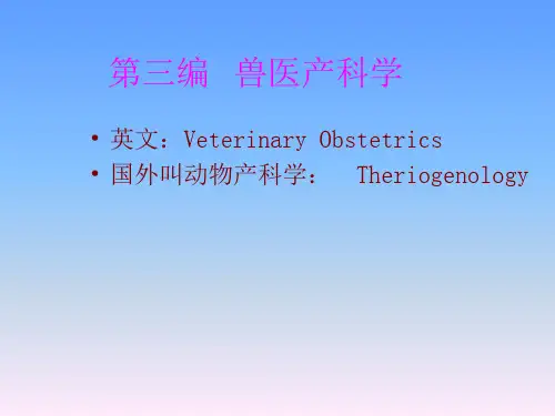 兽医产科学