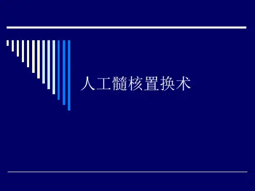 人工髓核置换术