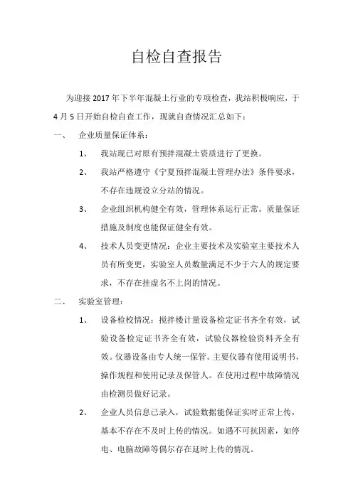 自检自查报告
