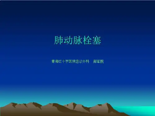 肺栓塞课件56228