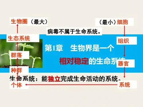 生物界是一个相对稳定的生命系统 PPT课件1 北师大版