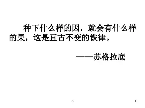议论文中的因果分析