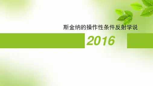 斯金纳