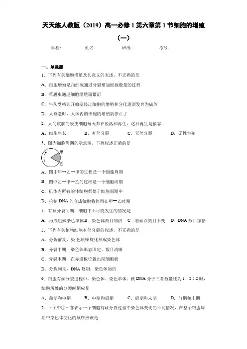 天天练人教版高一必修1第六章第1节细胞的增殖(一)