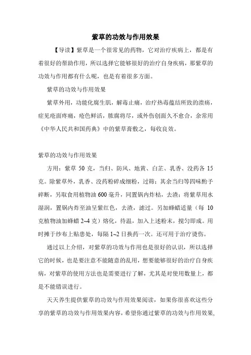 紫草的功效与作用效果