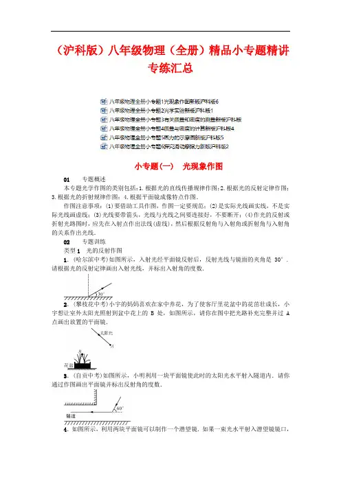(沪科版)物理八年级精品小专题精讲专练 (全书完整版)