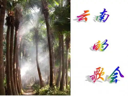 16、云南的歌会PPT课件