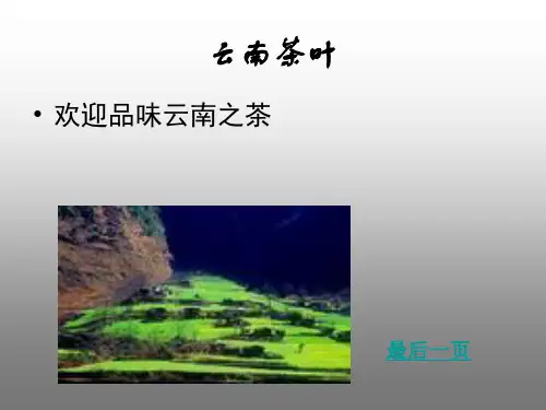 云南茶叶
