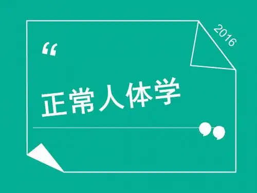 正常人体学 绪论