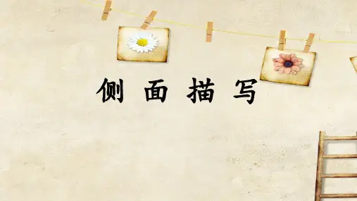 侧面描写课件