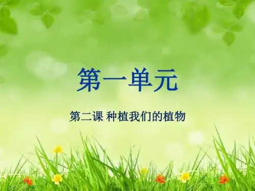 种植我们的植物