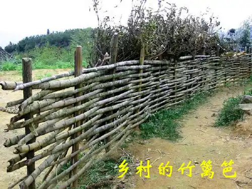 一年级下册15花篱笆