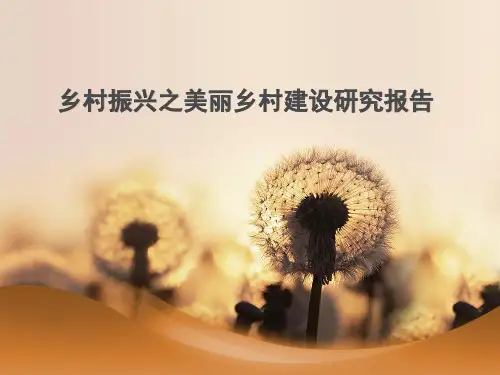 乡村振兴之美丽乡村建设研究报告