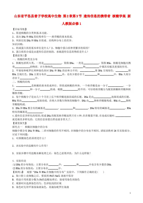 山东省平邑县曾子学校高中生物 第2章第3节 遗传信息的