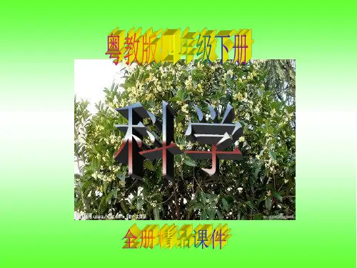 最新粤教版四级下册科学全册PPT课件