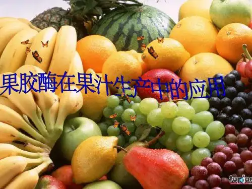 果胶酶