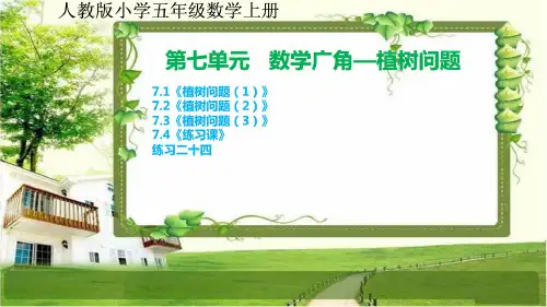 人教版中小学五年级数学上册7.5第七单元《数学广角-植树问题》课文和练习二十四课件