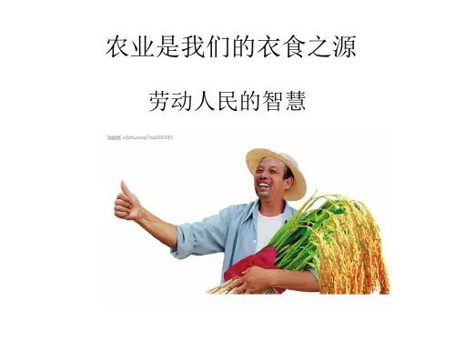 劳动人民的智慧