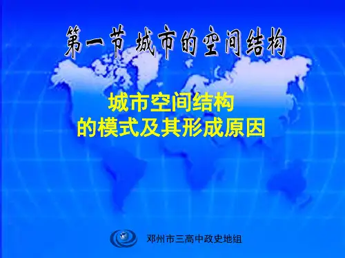 《城市空间结构的模式及其形成原因》