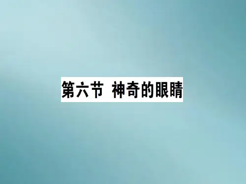 第四章 第六节 神奇的眼睛—2020秋沪科版八年级物理上册课堂学习课件