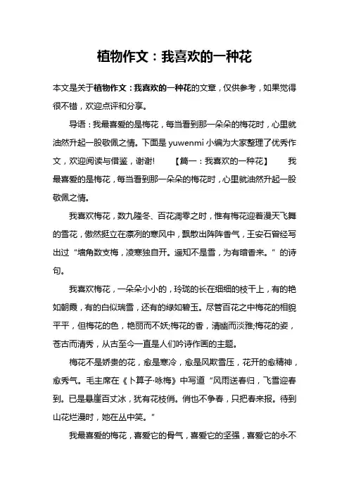 植物作文：我喜欢的一种花