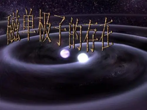 磁单极子
