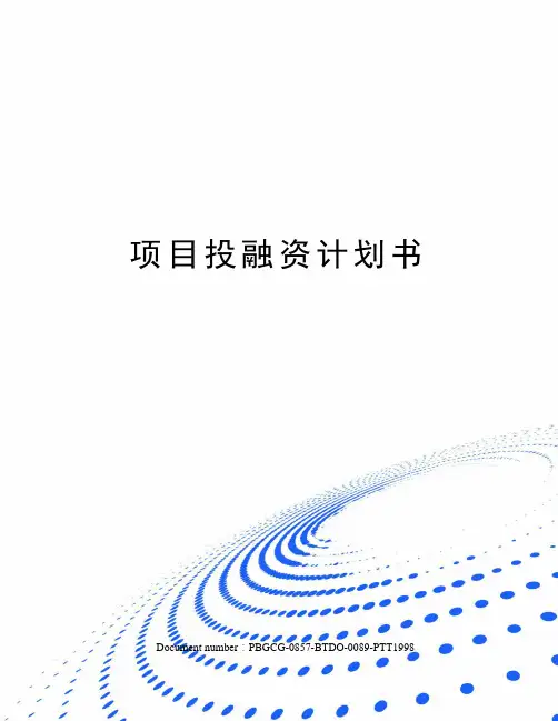 项目投融资计划书