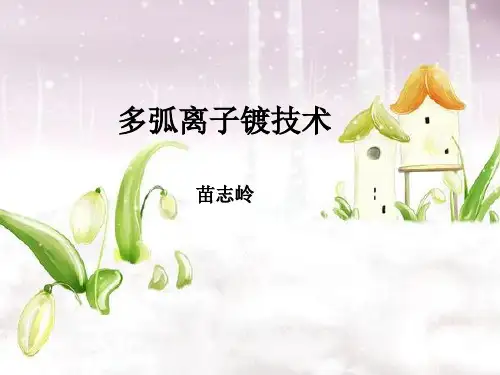 多弧离子镀PPT课件