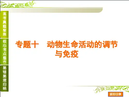 2014届高考生物二轮复习方案(浙江)：专题十 动物生命活动的调节与免疫