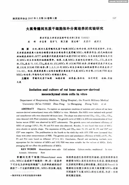 大鼠骨髓间充质干细胞体外分离培养的实验研究